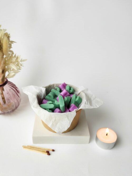 Wax melts artesanales de cera de soja en forma de cactus verdes y corazones rosas — BJ Candle Studio